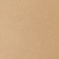 Обои Bernardo Bartalucci Legend Флизелин (1,06*10) Бежевый, Однотонные арт-5068-82 — фото 2, Обои