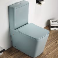 Унитаз компакт CeramaLux 2170AXMLG Зеленый матовый с бачком и сиденьем Микролифт — фото 1, Напольные унитазы