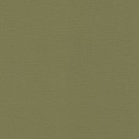Обои RASCH Kalahari 452068 Винил на флизелине (0,53*10,05) Зеленый, Однотонные — фото 1, Обои для стен