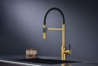 Смеситель для кухни Paulmark Magneto One Ma213188-BG Брашированное золото — фото 2, Смесители для кухни