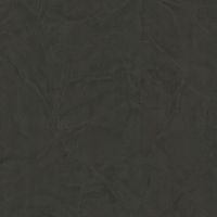 Обои Zambaiti Parati Trussardi VI 46048 Винил на флизелине (1,06*10,05) Черный, Штукатурка — фото 1, Обои для стен