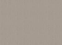 Обои Zambaiti Parati Vision Винил на флизелине (0,70*10,05) Коричневый, Рогожка арт-76017 — фото 2, Обои для стен