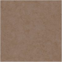 Обои Caselio Beton 101492010 Винил на флизелине (0,53*10,05) Коричневый, Штукатурка — фото 1, Обои для стен