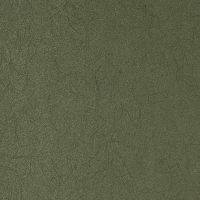 Товар: Обои Bernardo Bartalucci Legend 5068-48 Флизелин (1,06*10) Зеленый, Однотонные - фото 1 Обои Bernardo Bartalucci Legend 5068-48 Флизелин (1,06*10) Зеленый, Однотонные — фото 1, Обои для стен