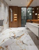 Керамогранит Etili Seramik Vega Gold Polished Rec. ETI80554 60х120 см — фото 2, Керамогранит