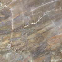 Товар: Керамогранит Ceradim Rich коричневый RI 0056 60х60 см - фото 5 Керамогранит Ceradim Rich коричневый RI 0056 60х60 см — фото 5, Керамогранит