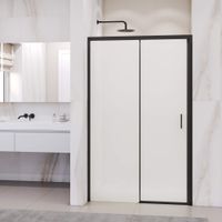 Душевая дверь 160*195 RGW PA-017-B Чёрный/Матовое/6 мм (Easy) — фото 1, Раздвижные душевые двери