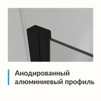 Душевая дверь  80*195 RGW Dolphin TN-03-B Чёрный/Прозрачное/6 мм (Easy) — фото 3, Распашные душевые двери