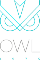 Owl 1975 Owl 1975