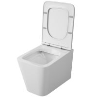 Унитаз Owl 1975 Vatter OWLT190401 подвесной с сиденьем Микролифт — фото 3, Подвесные унитазы