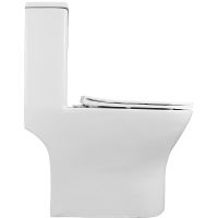 Унитаз моноблок Azario Terni AZ-8618 с бачком и сиденьем Микролифт — фото 11, Напольные унитазы