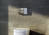 Товар: Панель смыва Aquatek Slim Хром глянцевый R KDI-0000004 - фото 3 Панель смыва Aquatek Slim Хром глянцевый R KDI-0000004 — фото 3, Кнопки смыва