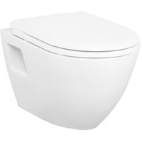 Унитаз Creavit Terra TP325-11CB00E-0000 подвесной Белый без сиденья — фото 1, Унитазы