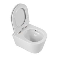 Унитаз подвесной безободковый с сиденьем CEZARES LINER CZR-38083-49-TH-TOR/SC — фото 3, Подвесные унитазы