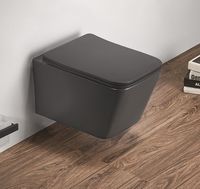 Товар: Унитаз CeramaLux 5170MDH подвесной Серый матовый с сиденьем Микролифт - фото 3 Унитаз CeramaLux 5170MDH подвесной Серый матовый с сиденьем Микролифт — фото 3, Подвесные унитазы