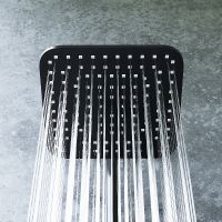 Душевая система Dorff Norma D0712020 Черная — фото 4, Душевые стойки