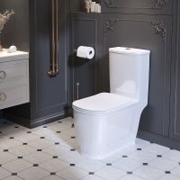 Унитаз компакт Ambassador Royal 267K19001S с бачком и сиденьем Микролифт — фото 9, Унитазы