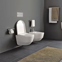 Унитаз Laufen Pro 8.2095.6 подвесной без сиденья — фото 4, Подвесные унитазы