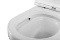 Унитаз подвесной безободковый CEZARES DUET CZR-2462-TH-TOR/CZR-870-SC — фото 8, Подвесные унитазы