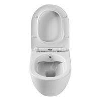 Товар: Унитаз подвесной безободковый с функцией биде CEZARES COMFORT CZR-191-TH/BS/CZR-2316-SC - фото 7 Унитаз подвесной безободковый с функцией биде CEZARES COMFORT CZR-191-TH/BS/CZR-2316-SC — фото 7, Подвесные унитазы