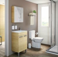 Унитаз компакт Roca Debba 34299700Y без бачка и сиденья — фото 3, Напольные унитазы