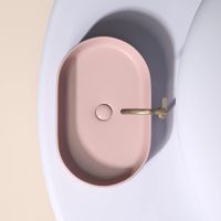 Раковина-чаша Ceramicanova Element 61 CN6048MP Розовая матовая — фото 18, Раковины накладные