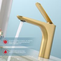 Товар: Смеситель для раковины Raglo R21.10.03 Золото матовое - фото 12 Смеситель для раковины Raglo R21.10.03 Золото матовое — фото 12, Смесители для раковины