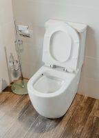 Товар: Унитаз компакт Creto Logan L1 1001-004-WF без бачка и с сиденьем Микролифт - фото 5 Унитаз компакт Creto Logan L1 1001-004-WF без бачка и с сиденьем Микролифт — фото 5, Унитазы