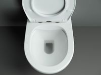 Товар: Подвесной унитаз PEARL (безободковый) - фото 8 Подвесной унитаз PEARL (безободковый) — фото 8, Подвесные унитазы