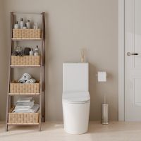 Унитаз компакт Iberica Blanca Burgos Alto IB.BRA.121.1B1 с бачком и сиденьем Микролифт — фото 7, Напольные унитазы