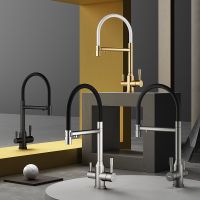 Товар: Смеситель для кухни Raglo R81.63.05 Сатин Черный - фото 9 Смеситель для кухни Raglo R81.63.05 Сатин Черный — фото 9, Смесители для кухни