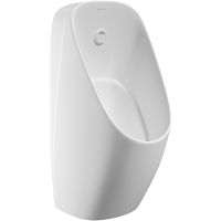 Писсуар Aqueduto Pro PRO0210 подвесной Белый глянцевый — фото 1, Писсуары