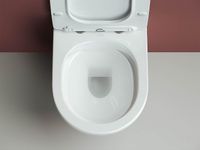 Товар: Комплект унитаза Ceramicanova Forma CN3009 с инсталляцией Grohe Rapid SL 38772001 с сиденьем Микроли - фото 7 Комплект унитаза Ceramicanova Forma CN3009 с инсталляцией Grohe Rapid SL 38772001 с сиденьем Микроли — фото 7, Комплекты унитаз + инсталляция