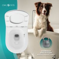 Унитаз Owl 1975 WaveCirkel-H TOWLT190801 подвесной с сиденьем Микролифт — фото 2, Подвесные унитазы