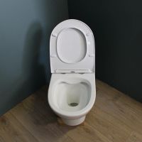 Товар: Унитаз Maretti Ritta RI10PBM53-844 подвесной с сиденьем Микролифт - фото 9 Унитаз Maretti Ritta RI10PBM53-844 подвесной с сиденьем Микролифт — фото 9, Подвесные унитазы