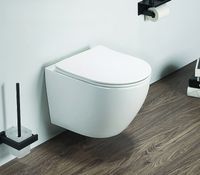 Товар: Унитаз Azario Grado AZ-0046 SP подвесной Белый с сиденьем Микролифт - фото 5 Унитаз Azario Grado AZ-0046 SP подвесной Белый с сиденьем Микролифт — фото 5, Подвесные унитазы