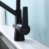 Товар: Смеситель для кухни Raglo R80.62.06 Черный матовый - фото 3 Смеситель для кухни Raglo R80.62.06 Черный матовый — фото 3, Смесители для кухни