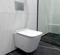 Товар: Унитаз Caprigo Style S-1203 подвесной с сиденьем Микролифт - фото 4 Унитаз Caprigo Style S-1203 подвесной с сиденьем Микролифт — фото 4, Подвесные унитазы