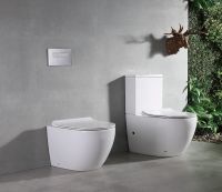 Товар: Унитаз компакт CeramaLux NS-2176 с бачком и сиденьем Микролифт - фото 2 Унитаз компакт CeramaLux NS-2176 с бачком и сиденьем Микролифт — фото 2, Напольные унитазы