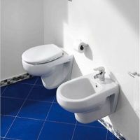 Товар: Комплект унитаза с инсталляцией Roca Victoria 893100000 с сиденьем Микролифт и клавишей смыва Хром - фото 5 Комплект унитаза с инсталляцией Roca Victoria 893100000 с сиденьем Микролифт и клавишей смыва Хром — фото 5, Комплекты унитаз + инсталляция