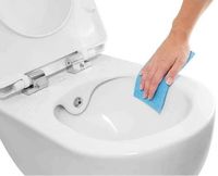 Товар: Унитаз биде Creavit Free FE322-00MB00E-0000 подвесной Белый матовый без сиденья - фото 4 Унитаз биде Creavit Free FE322-00MB00E-0000 подвесной Белый матовый без сиденья — фото 4, Подвесные унитазы