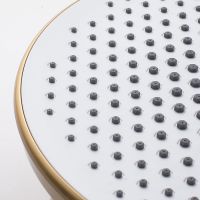 Товар: Душевая система Rose R39G R3936G Золото матовое - фото 4 Душевая система Rose R39G R3936G Золото матовое — фото 4, Душевые системы