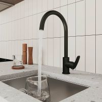 Смеситель для кухни Milardo Rora RORBLFJM05 Черный матовый — фото 3, Смесители для кухни