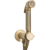 Гигиенический душ со смесителем Bossini Nikita E37008B.022 Бронза — фото 1, Гигиенические души