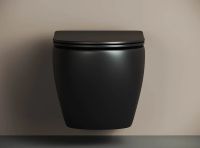 Комплект унитаза с инсталляцией Ceramicanova Metropol CN4002MB_1001M_1000 с сиденьем Микролифт и кла — фото 10, Комплекты унитаз + инсталляция