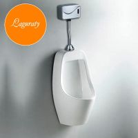 Товар: Писсуар Laguraty Sensor 507 подвесной Белый - фото 5 Писсуар Laguraty Sensor 507 подвесной Белый — фото 5, Писсуары