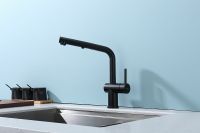 Смеситель для кухни Raglo R86.49.06 Черный матовый — фото 16, Смесители для кухни