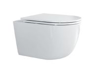 Унитаз подвесной безободковый с сиденьем CEZARES RELAX CZR-3806-53-TH-TOR/SC — фото 1, Подвесные унитазы