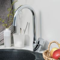 Ruhr 24407 Смеситель для кухни — фото 2, Смесители для кухни