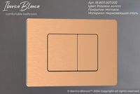 Клавиша смыва Iberica Blanca Inox-C IB.B011.007.002 Розовое золото матовое — фото 3, Кнопки смыва